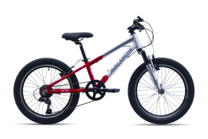 Avalanche Buzz Boys 20inch
